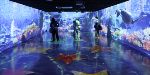 [포토뉴스] 눈앞에 펼쳐진 바다 속