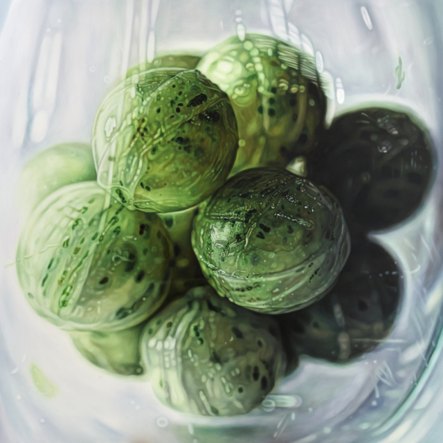 안성하, 무제, 2025. 소울아트스페이스 제공