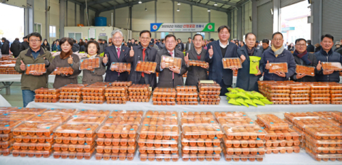 산불·수해 이긴 ‘지리산 산청 명품 곶감’ 본격 출하
