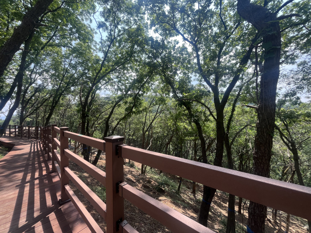 김해시가 만드는 자연장지에는 수목장과 잔디장, 산분장을 위한 공간이 마련된다. 전체 시설이 나무 덱을 따라 연결돼 있다. 이경민 기자