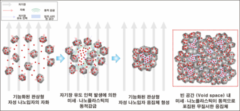 고효율 미세 및 나노플라스틱 제거 효율 향상에 필요한 자화된 판상형 자성 나노입자 응집이 유도하는 미세 및 나노플라스틱 동적 감금 메커니즘 개략도.