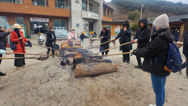 관람객들이 모닥불에 직점 밤을 구워 먹을 수 있다.