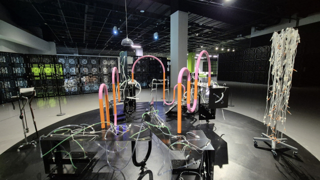 서울퀴어콜렉티브, 우리는 모두 팔십에 서로의 요양보호사가 되어 있지 않을까?, 2025. 김가현 학예연구사 제공