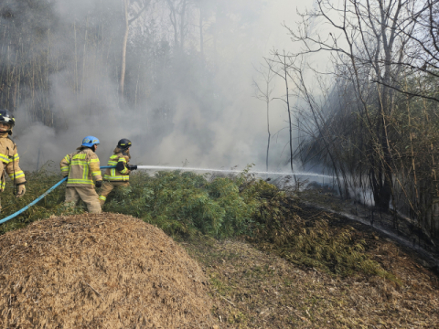 부산 야산에서 쓰레기 소각하다 난 불, 1시간 만에 완진