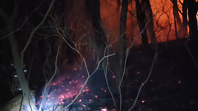 8일 오후 8시 38분께 해발 399.3ｍ 부산 동래구 쇠미산 금정봉 8분 능선에서 불이 났다. 부산소방재난본부 제공