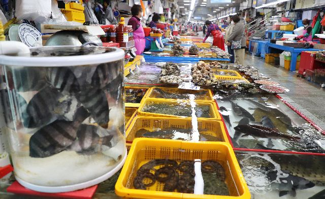 부산시가 오는 11월 자갈치현대화시장의 무상 사용 기간 만료를 앞두고 시설 사용 실태를 조사하고 향후 운영 주체와 방식 등을 검토하고 있다. 부산일보DB