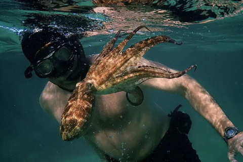 ‘나의 문어선생님’ 스틸컷. 넷플릭스 제공