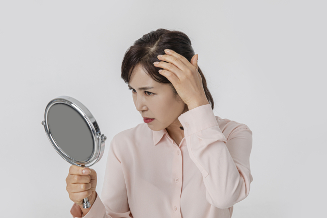 클립아트코리아