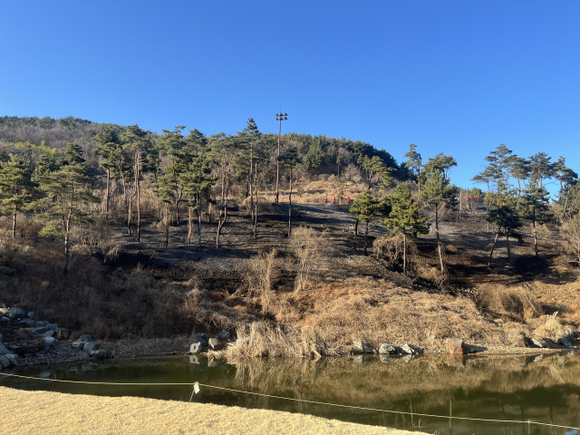 17일 오후 불이 난 부산 기장군 한 골프장. 부산소방재난본부 제공