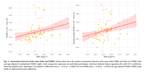 비만만 문제 아냐… 과체중만 돼도 뇌에 변화 생긴다
