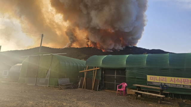 23일 오후 4시 10분께 경남 밀양시 삼랑진읍 검세리 한 야산에서 불이 나 연기가 발생하고 있다. 연합뉴스