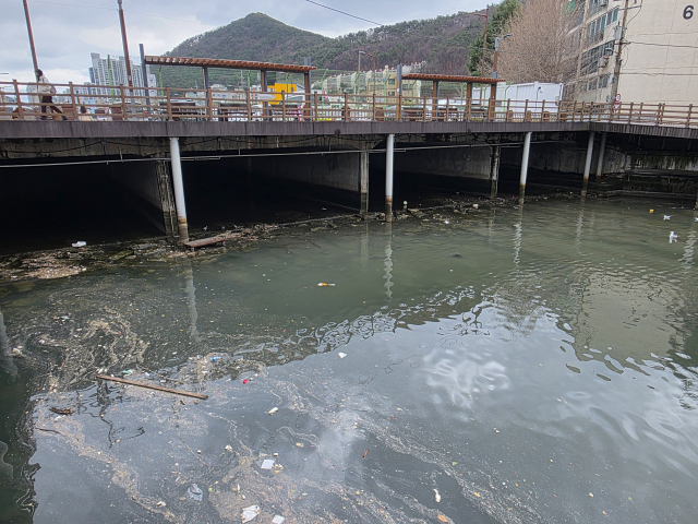 7년 넘게 공회전 중이던 부산 사하구 ‘괴정천 생태하천 복원’ 공사가 착공 첫 단계에 돌입한다. 사진은 3일 낮 12시 괴정천 모습. 김재량 기자 ryang@