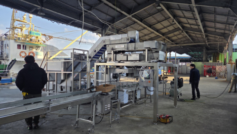 공동어시장 선어 자동 포장기 '개점휴업'