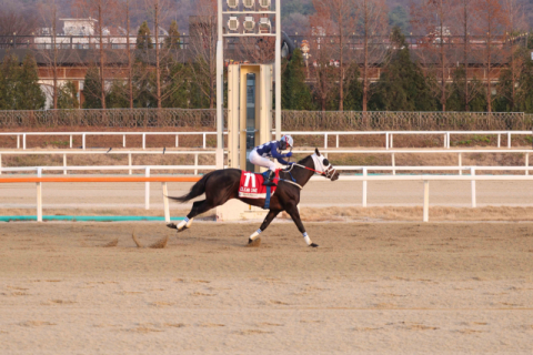 2025년 그랑프리에서 우승한 클린원.