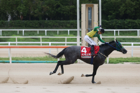 2025년 25년 KRA컵 클래식에서 역주하는 석세스백파.