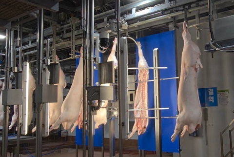 축산물품질평가원 ‘AI 돼지 품질평가 장비’ 설치 희망 도축장 모집