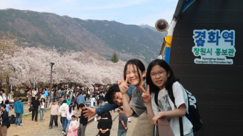 [포토뉴스] 벚꽃, 내년에 다시 만나요