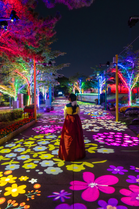 “김해의 밤은 낮보다 아름답다” 가야테마파크, 야간 개장