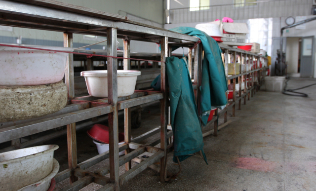 생산 시즌 막바지 작업할 원물이 없어 개점 휴업 상태가 된 통영 굴박신장. 흥겨운 트로트 메들리로 시끌벅적해야 할 작업장이 쥐 죽은 듯 고요하다. 굴 더미로 그득했던 작업대는 말끔히 치워졌다. 바닷물로 흥건해야 할 바닥도 바짝 말랐다. 김민진 기자