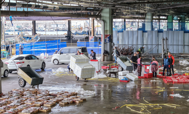 부산공동어시장 현대화 사업으로 본 건물 철거가 시작된 14일 부산 서구 공동어시장에서 1단계 공사 구간인 남항 쪽 1돌제부두에 펜스가 설치돼 위판장 면적이 40%가량 줄어든 채 위판이 진행되고 있다. 김종진 기자 kjj1761@