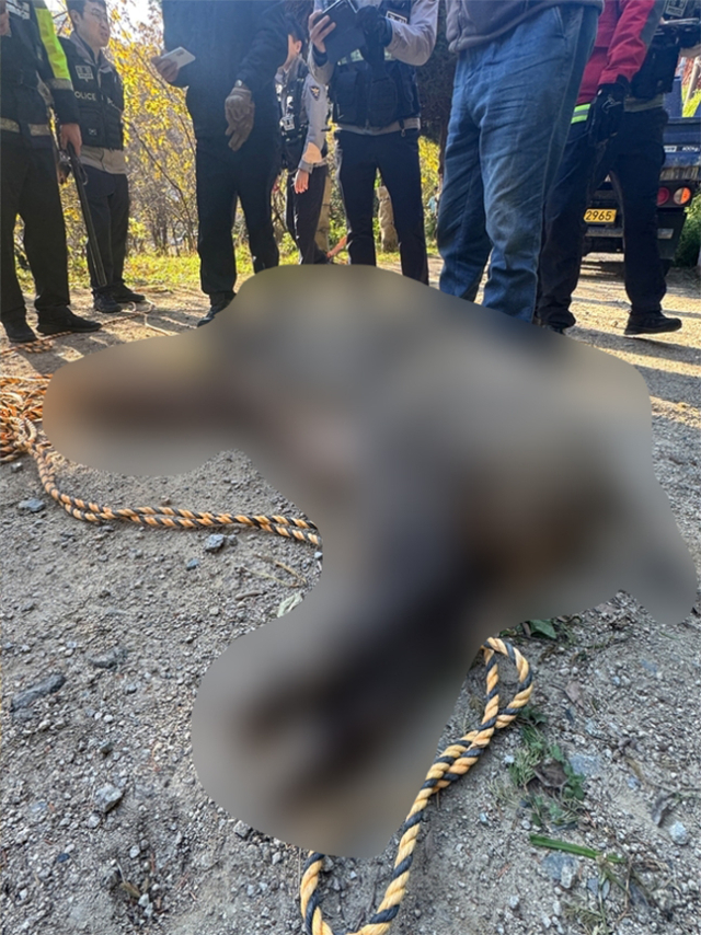 지난해 12월 금정구에서 출몰한 멧돼지 포획 모습. 부산소방재난본부 제공