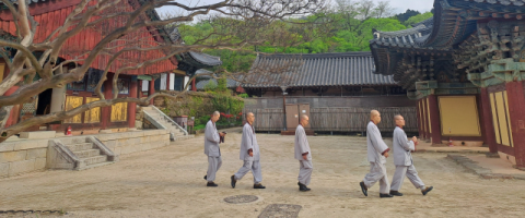산사에 올라서야 깨달았다…사람과 우주가 둘이 아님을