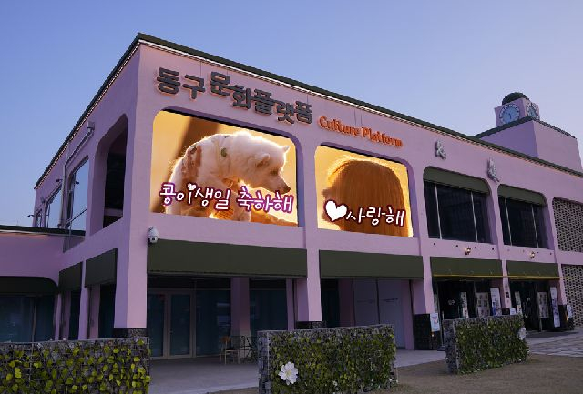 부산 해사법원 임시청사로 확정된 부산 동구 좌천동 동구문화플랫폼. 부산일보DB