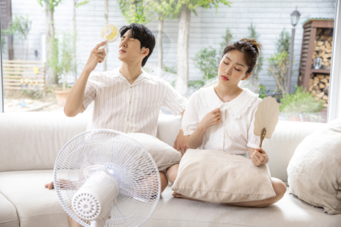 [질병과 건강 이야기] 몸의 여름 계획 망치는 폭염