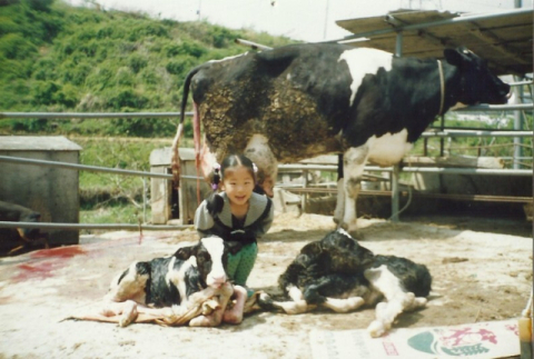 어린 시절에 찍은 모든 사진은 송아지와 함께다. 유진목장 제공