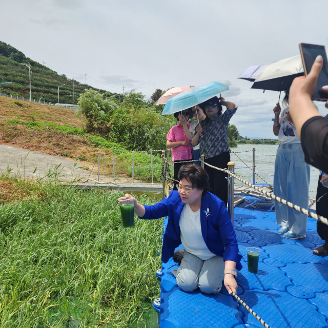 10일 낙동강 창녕함안보 인근에서 시민단체가 녹조 현황을 살펴보고 있다. 낙동강네트워크 제공