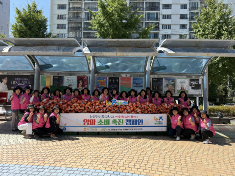 농협중앙회 부산본부-고향주부모임 부산시지회, 양파 소비 촉진 캠페인 전개