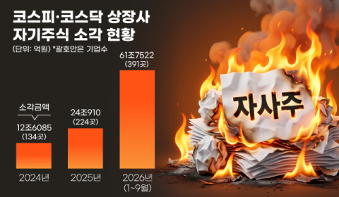 올해 자사주 62조 소각…삼성·하이닉스가 절반 넘게 태워