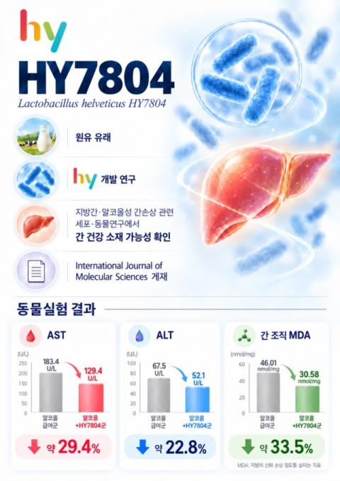 hy, 프로바이오틱스 알코올성 간손상 연구 국제학술지 게재